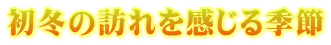 初冬の訪れを感じる季節