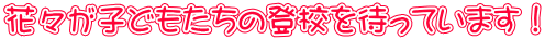 花々が子どもたちの登校を待っています！
