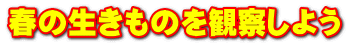 春の生きものを観察しよう