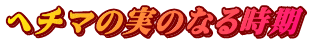 ヘチマの実のなる時期