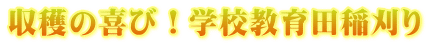 収穫の喜び！学校教育田稲刈り