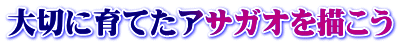 大切に育てたアサガオを描こう